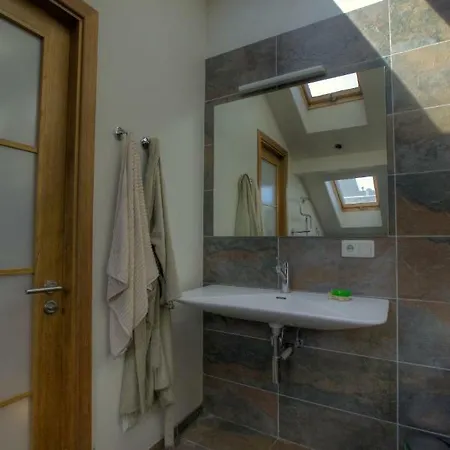 Loft In 97 Terbatas St Riga